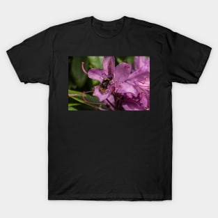 Busy Bee 2 T-Shirt